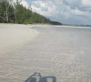 Gold Rock Beach (Gold Coast)