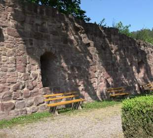 Schlossruine Wildberg