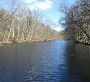 Bei einem Spaziergang am Sennfelder Seenkranz
