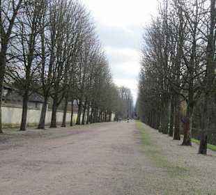 Schlosspark Schwetzingen im Winter