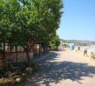 Havana beach bar