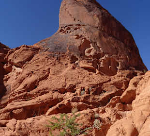 Im Valley of Fire unterwegs