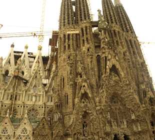 Katedra Sagrada Familia  