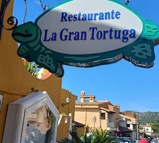 Gastro