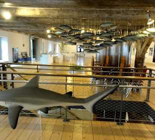 Ausstellungsraum des Spicariums