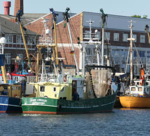 Der Alte Fischereihafen von Cuxhaven