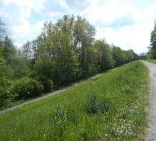 Naturschutzgebiet Boberger Niederung