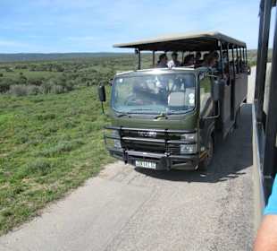 Umgebaute LKWs zur Pirschfahrt