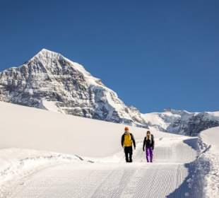 Wandern Wilderswil