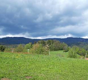 Wandern Drachselsried
