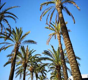 Flughafen Palma de Mallorca/Son Sant Joan (PMI)