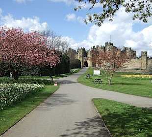 Blick von Alnwick Gardens
