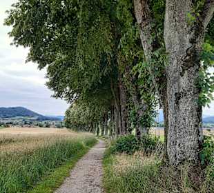 Wandern St. Georgen im Attergau