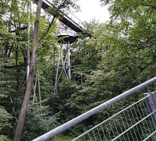 Die Stege