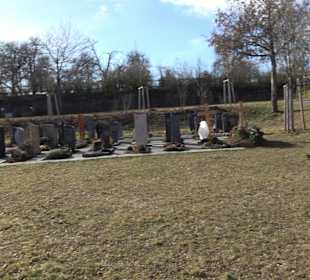 Friedhof Walddorf