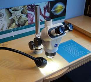 Impressionen aus dem Aquazoo Löbbecke Museum