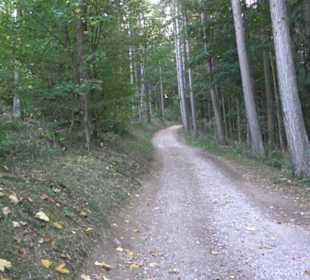 Stationenweg - Weg der Menschwerdung