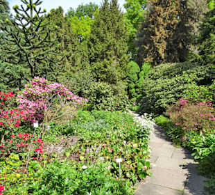 Eindrücke vom Rundgang durch den Berggarten