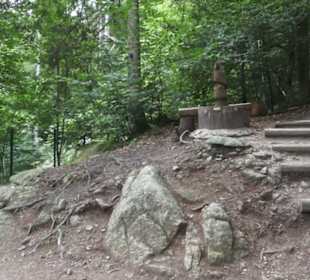 Natur-Hochseilgarten Triberg