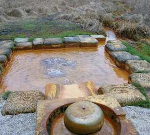 Kaiserquelle im Naturschutzgebiet SOOS