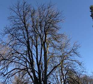 Wanderung rund um den Ochsenweiher