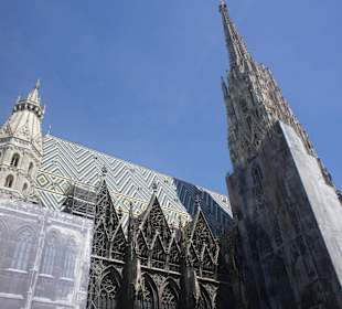 Katedra św. Szczepana