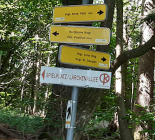 Wandern St. Georgen im Attergau