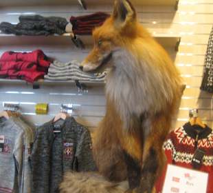 Polarkreiszentrum 66' 33’ N