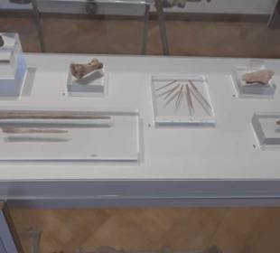 Archäologisches Museum