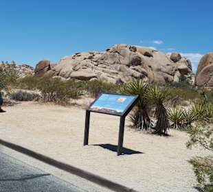 Impressionen von der Deserts-Region