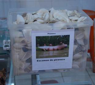 Mercado Municipal Adolpho Lisboa 