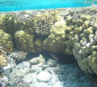 Riffkante vom Strand aus ins Wasser