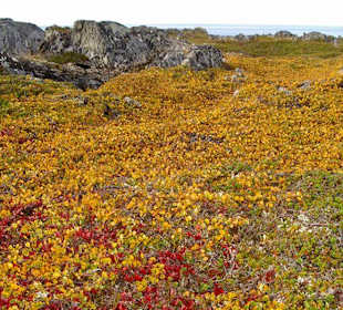 Nordkinn Halbinsel