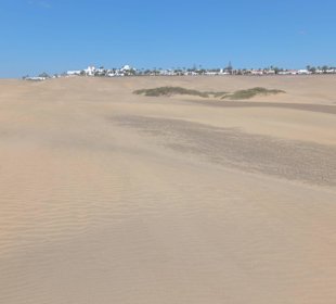 Dünen von Maspalomas