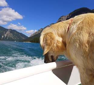 Schifffahrt auf dem Plansee