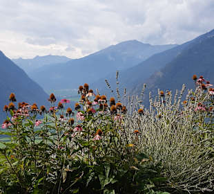 Restaurant Pflonzgortn Solis