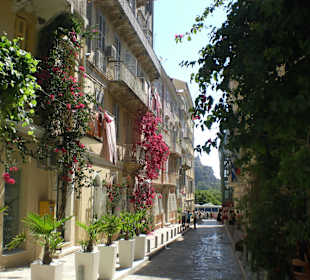 Altstadt -Parknähe-