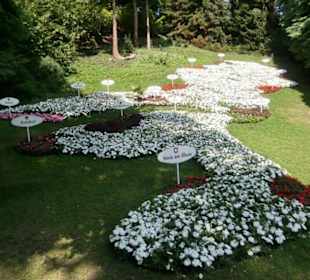 Blumenornament 2