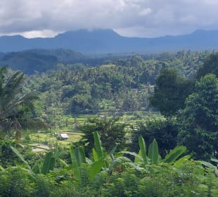Ausblick von der Terrasse