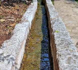 Ogród Botaniczny Lluc