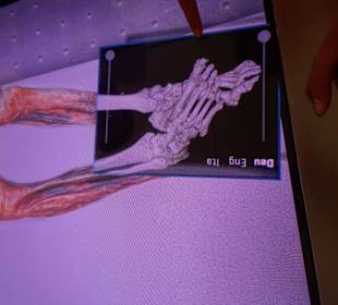 Moderne Präsentation der Forschungsergebnisse