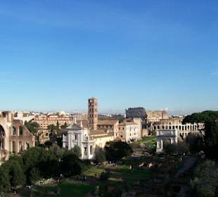 Blick vom Palatin