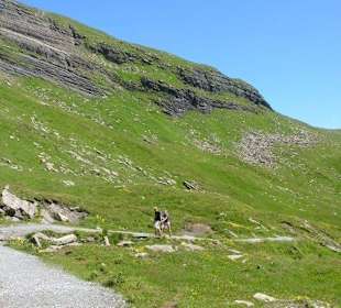Der lange Weg zurück