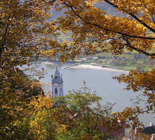 Aufstieg zur Ruine --> Blick runter
