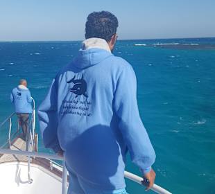 Mo, der Delfin und Walhaiflüsterer