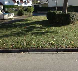 Brunnen Weitenfeld Weg Thalfingen