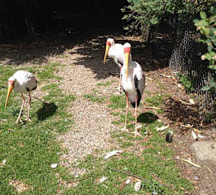 Wunderschön anzusehen