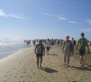 Schreckliche Völkerwanderung