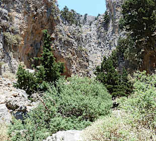 Imbros Schlucht