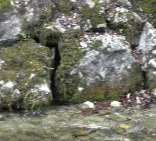 Echazquellen
